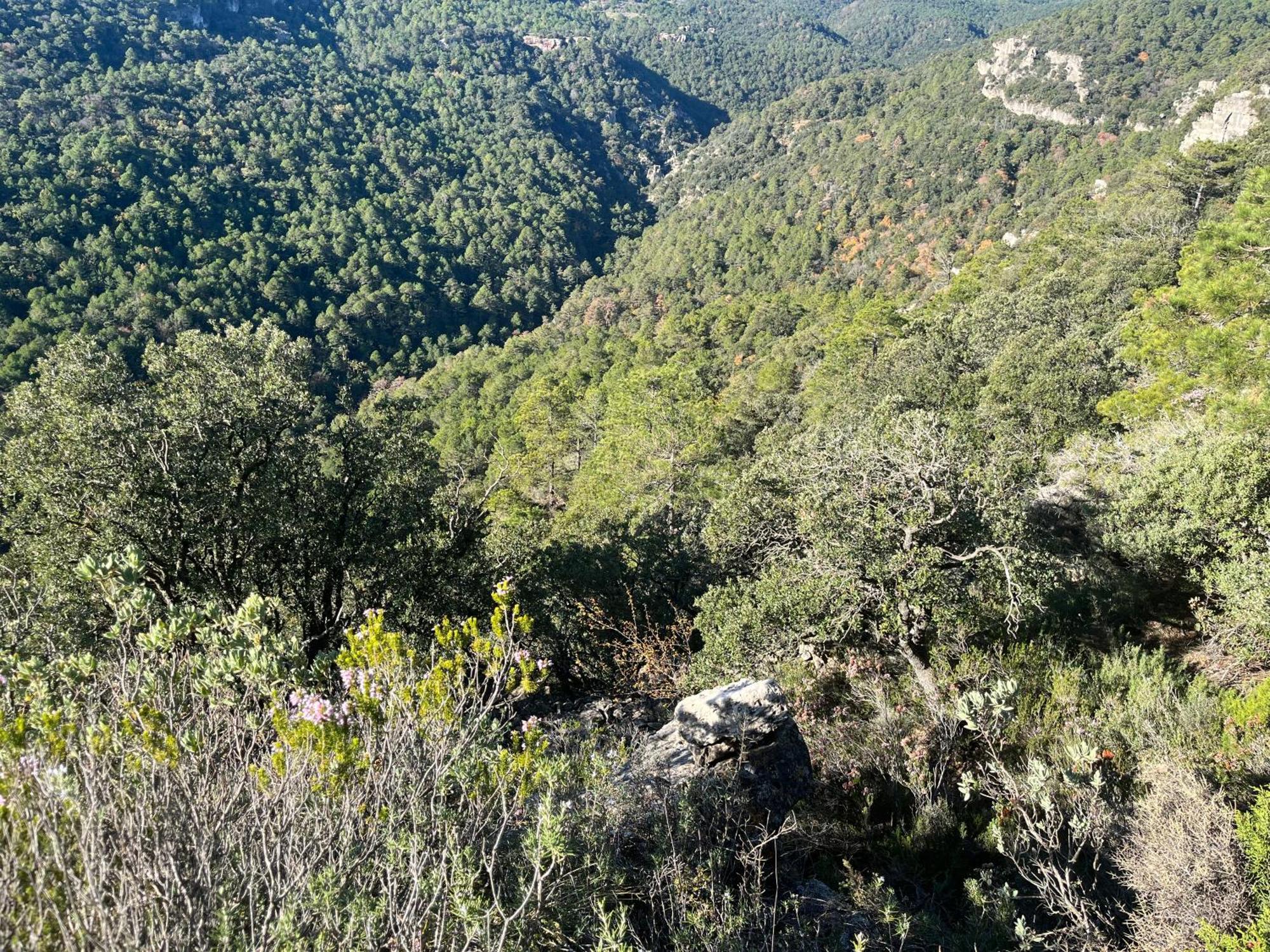 Casa de camp Masiadenjust *